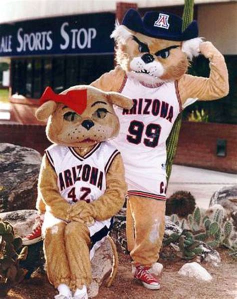 Unmasking the Magic: The Stories Behind ASU's Mascots
